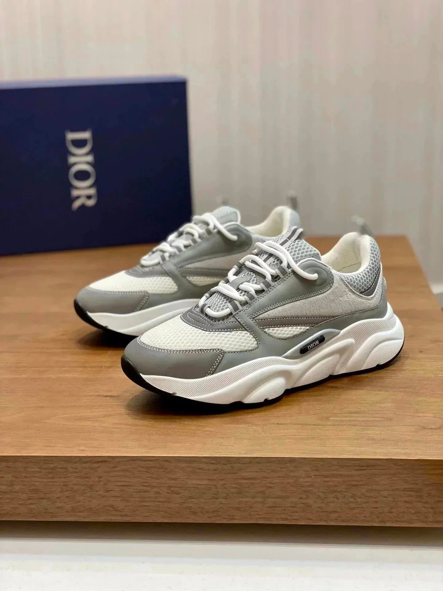 Dior B23 Low Grey Mesh