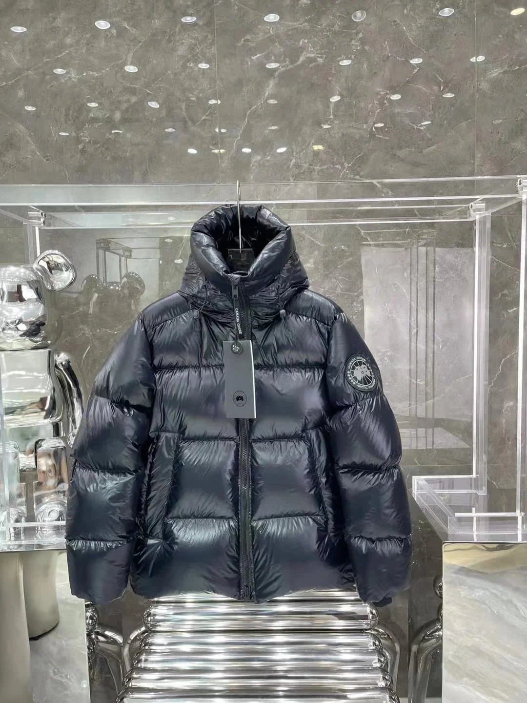 Canada Goose Puffer Jacket Shiny Black