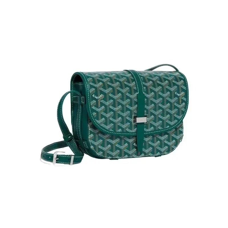 Goyard Saint Louis Monogram Canvas — 34