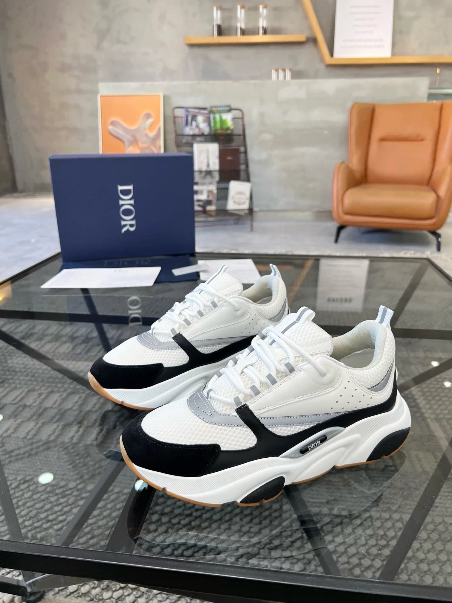 Dior B22 White Grey Blue — 22