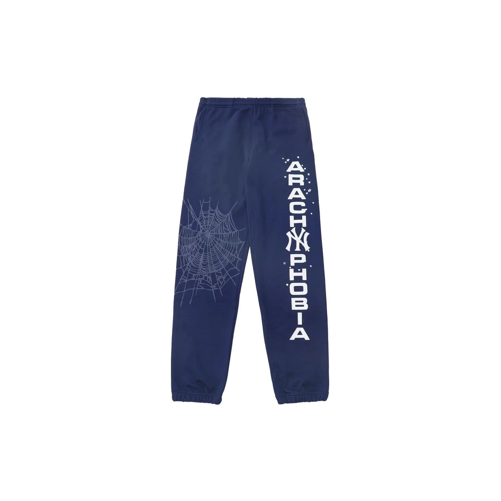 Hellstar Spiderweb Joggers Arachnophobia Print