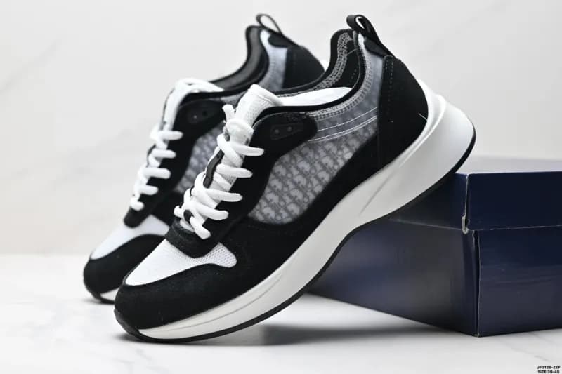 Dior B23 Low Oblique Print