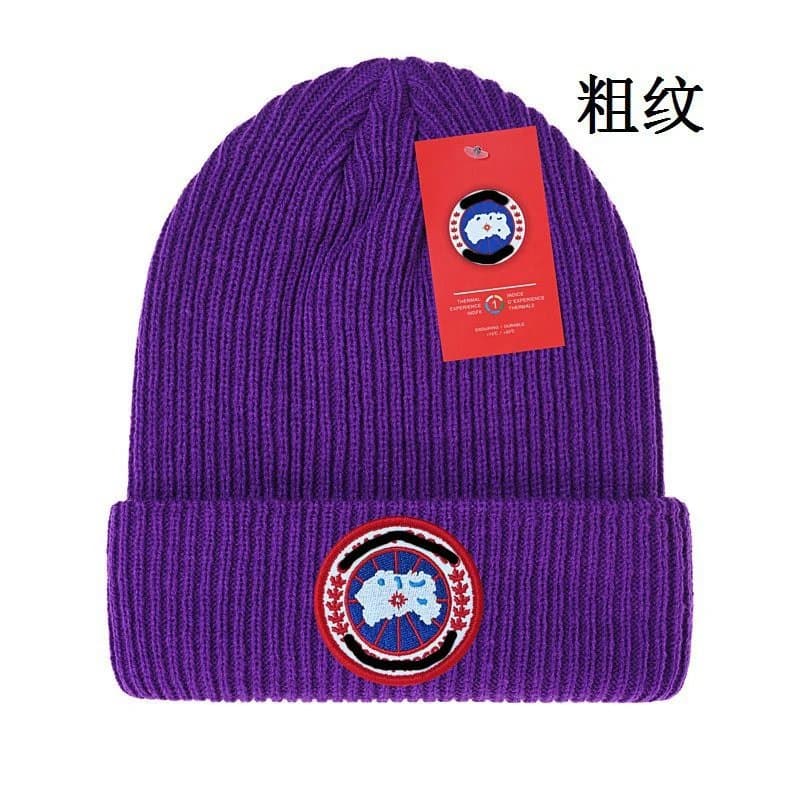 Canada Goose Ribbed Beanie Arctic Program Patch