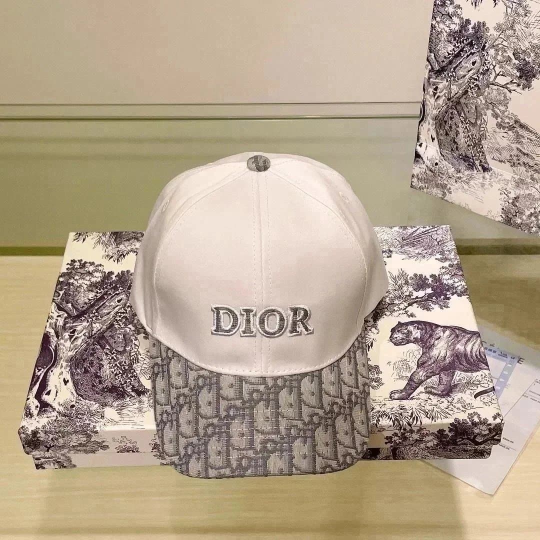 Dior Baseball Cap Oblique Logo — 05