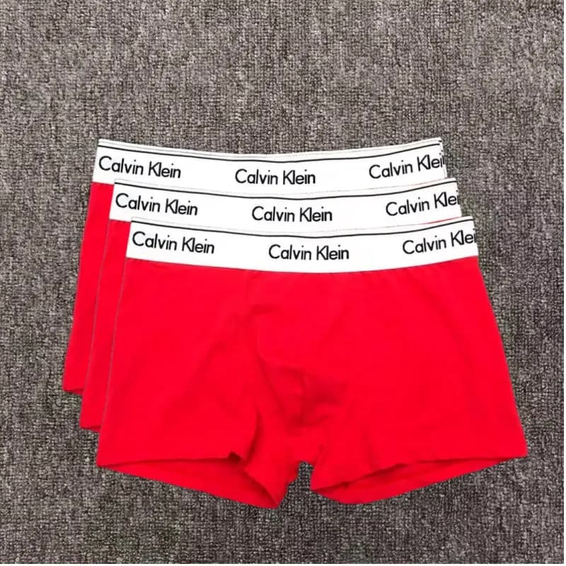 Calvin Klein Boxer Briefs Logo Waistband