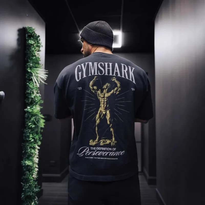 Graphic Tee The Definition of Perseverance