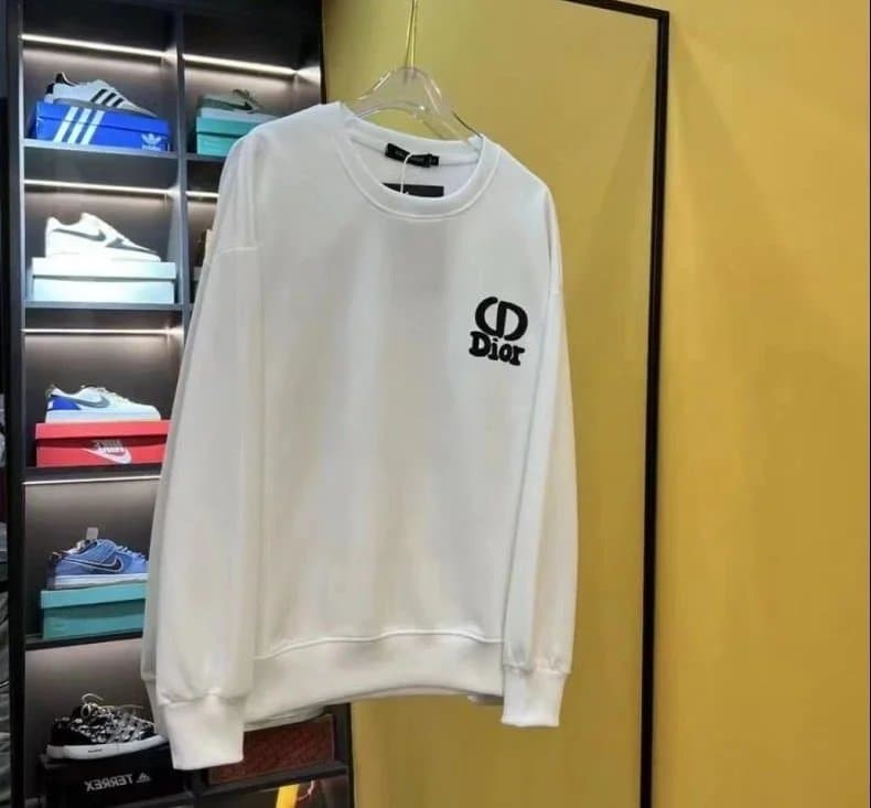 Dior Hooded Sweatshirt CD Logo — 23