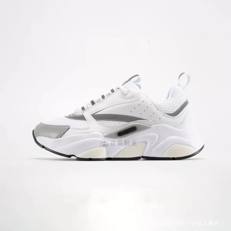 Dior B22 White Grey