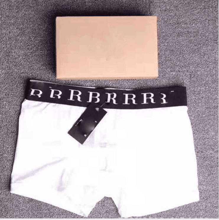 Balenciaga Boxer Brief Logo Waistband