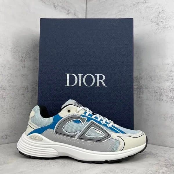 Dior B22 Oversized Logo — 21