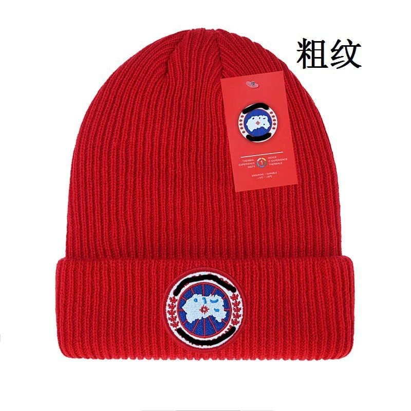 Canada Goose Ribbed Beanie Arctic Program Patch — 均码 · 如图23