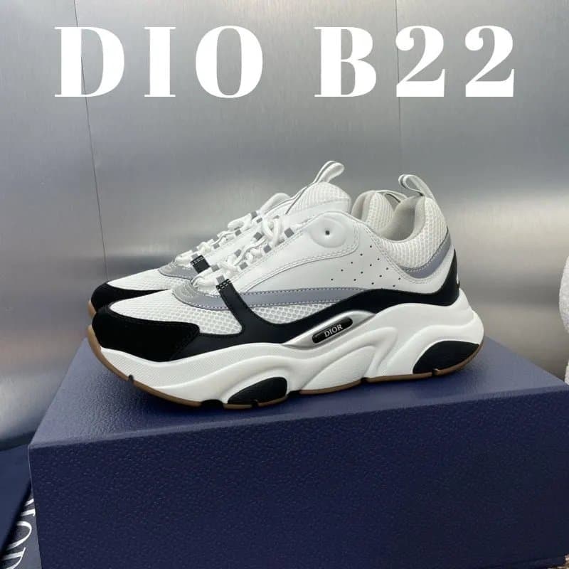 Dior B22 White Black Grey