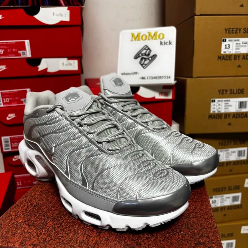 Nike Air Max Plus Metallic Silver