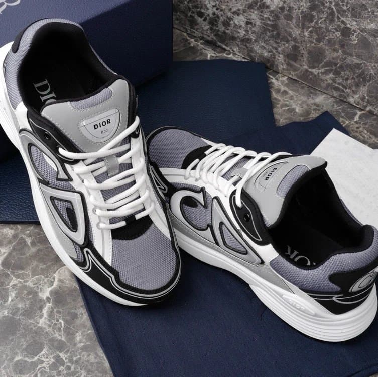 Dior B22 Grey Black White