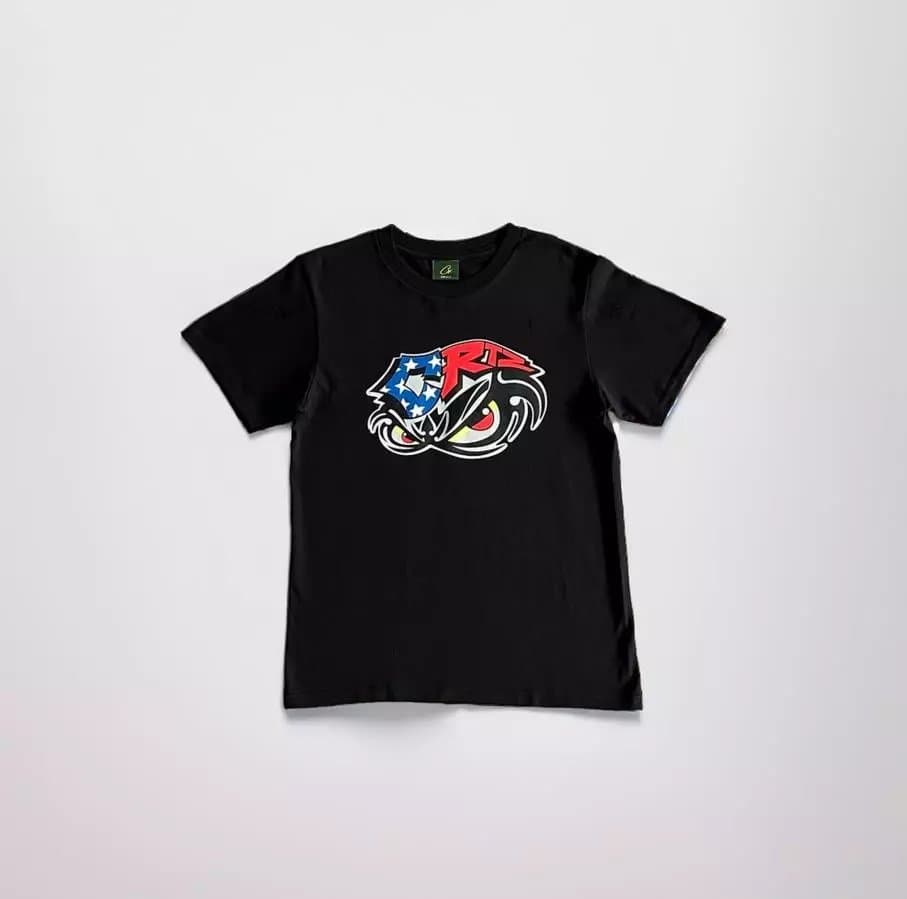 Stüssy T-Shirt Green Logo — 鹰眼黑色