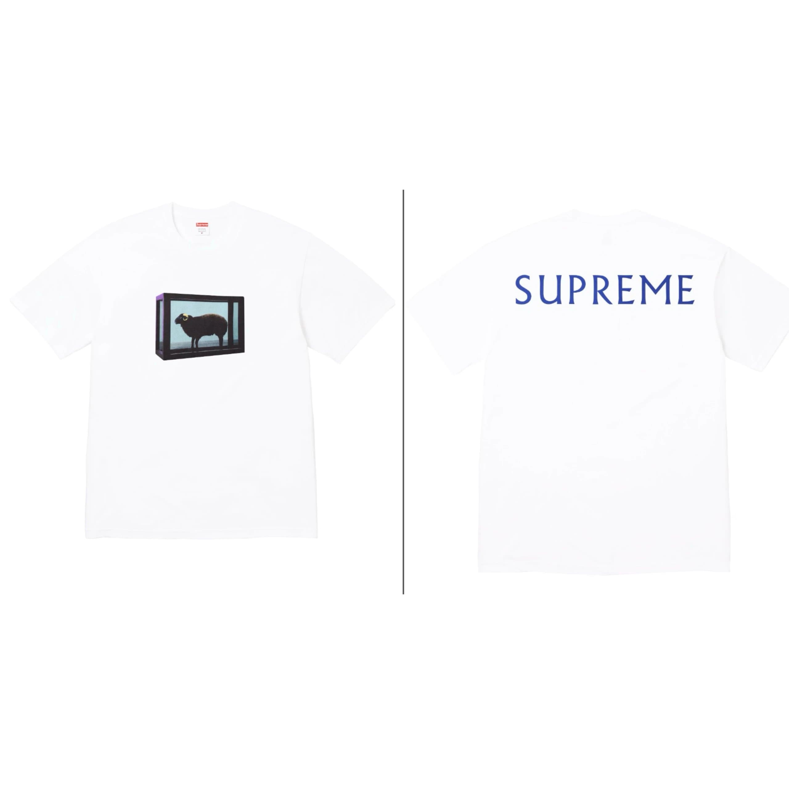Supreme T-Shirt Sheep in Frame