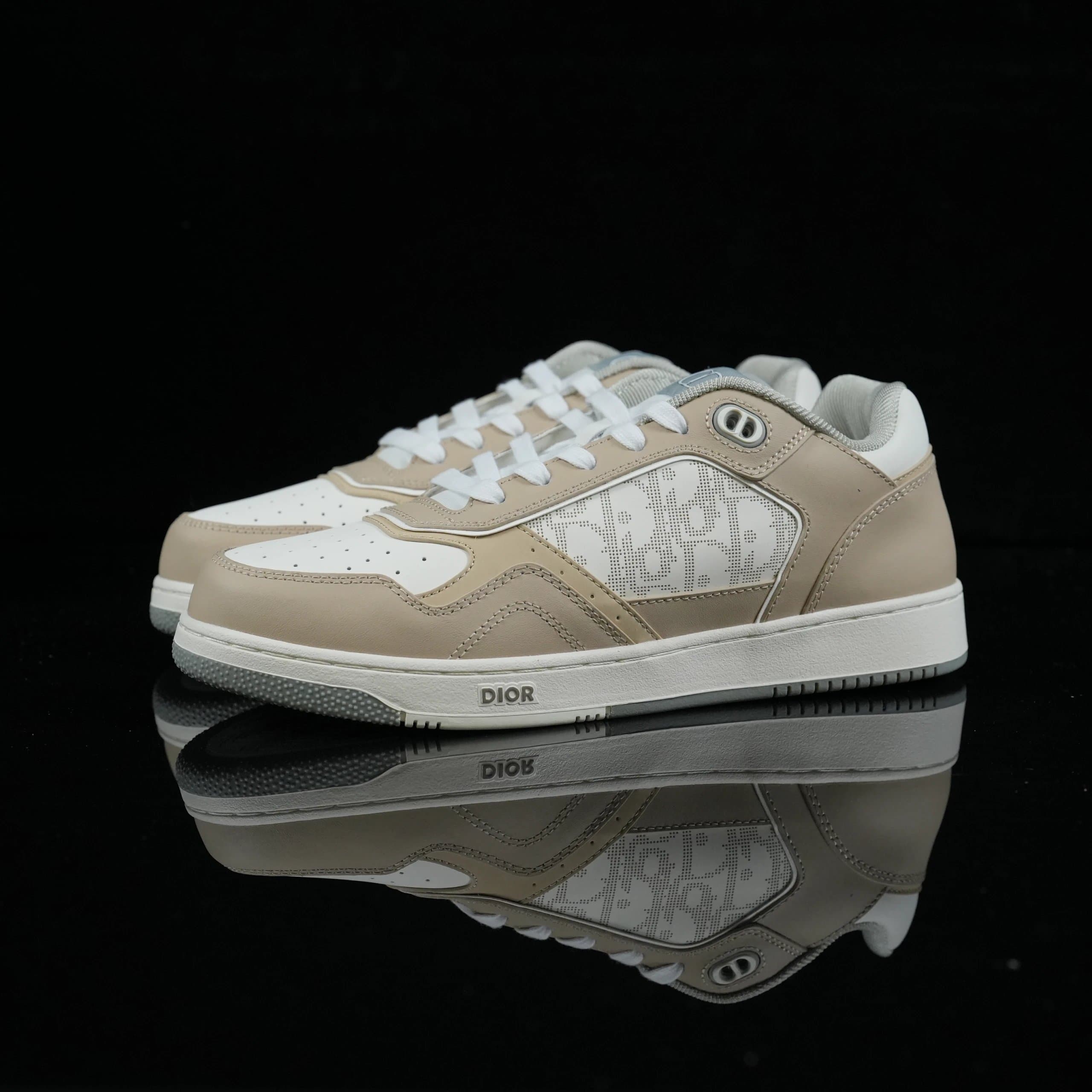 Dior B22 Low Perforated Oblique
