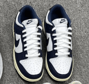 Nike Dunk Low Navy and White