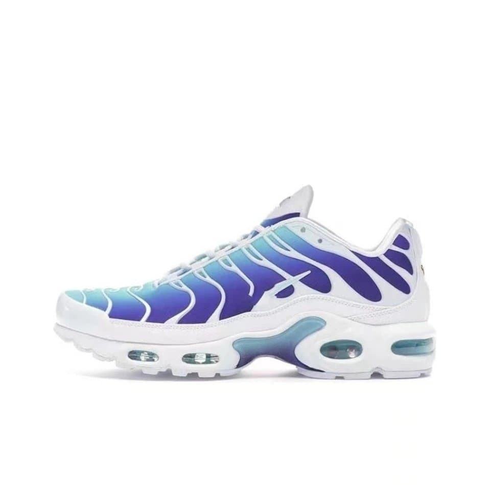 Nike Air Max Plus Yeezy — TN-18
