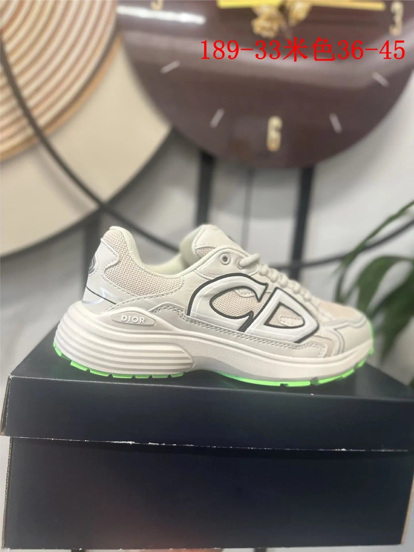 Dior B22 Sneaker Monogram Logo
