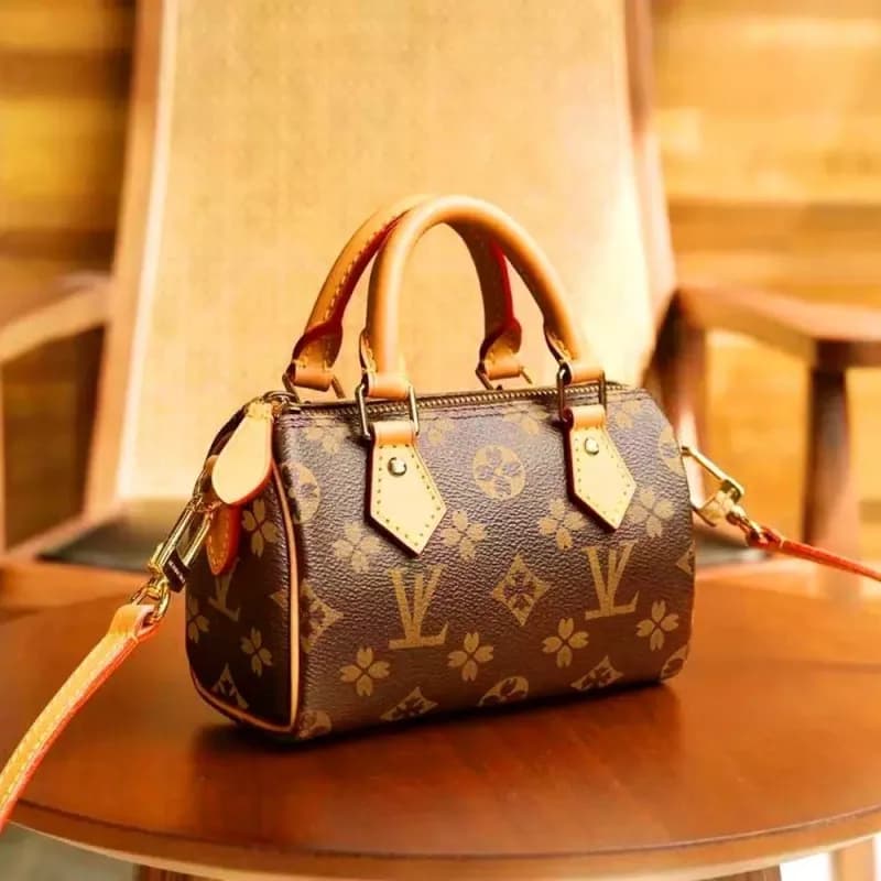 Louis Vuitton Speedy 20 Monogram Canvas