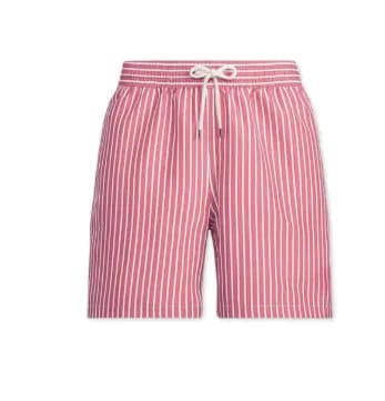 Polo Ralph Lauren Striped Shorts Light Blue and White Stripe — DKXQH20240711561