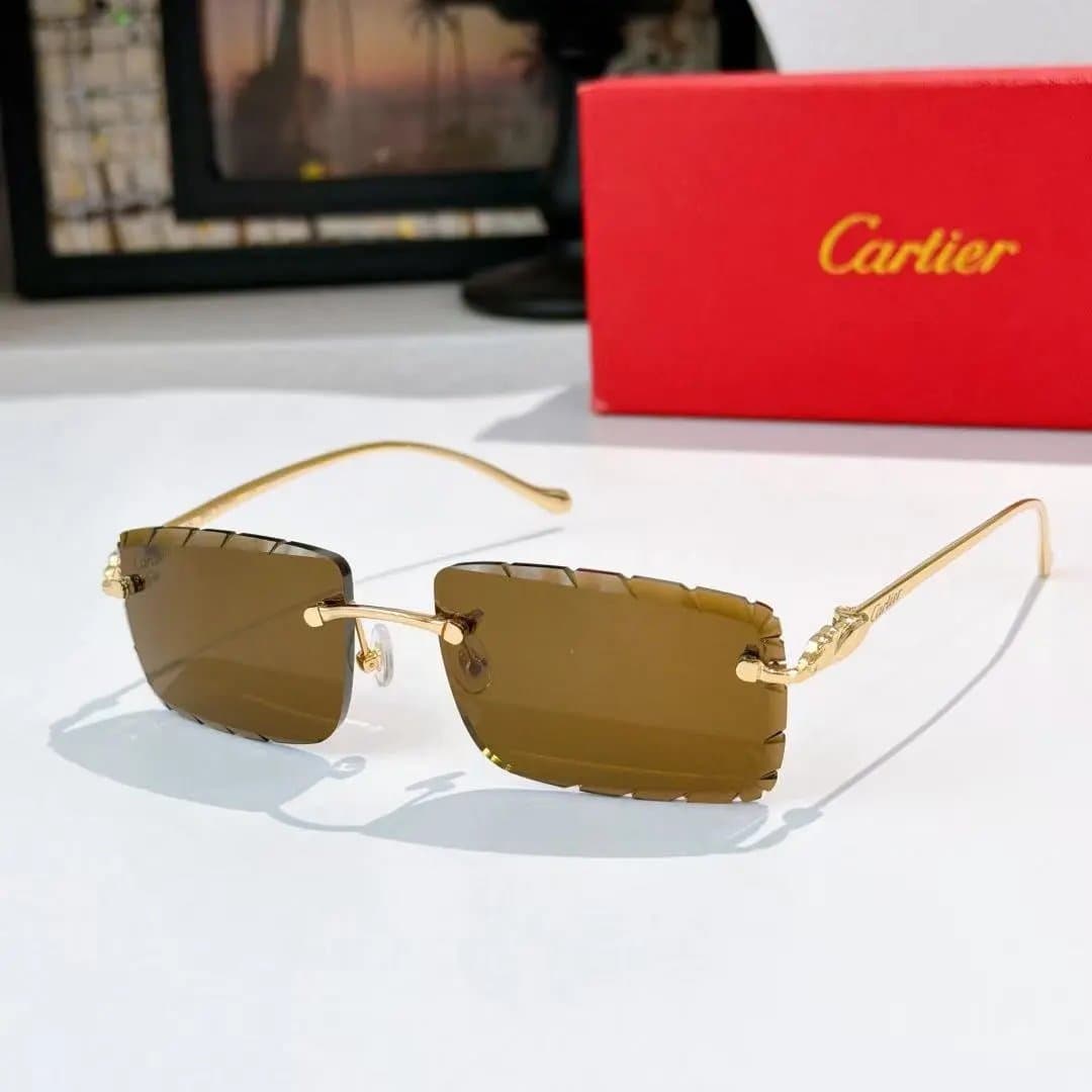 Cartier Sunglasses Panthère Detail — 15