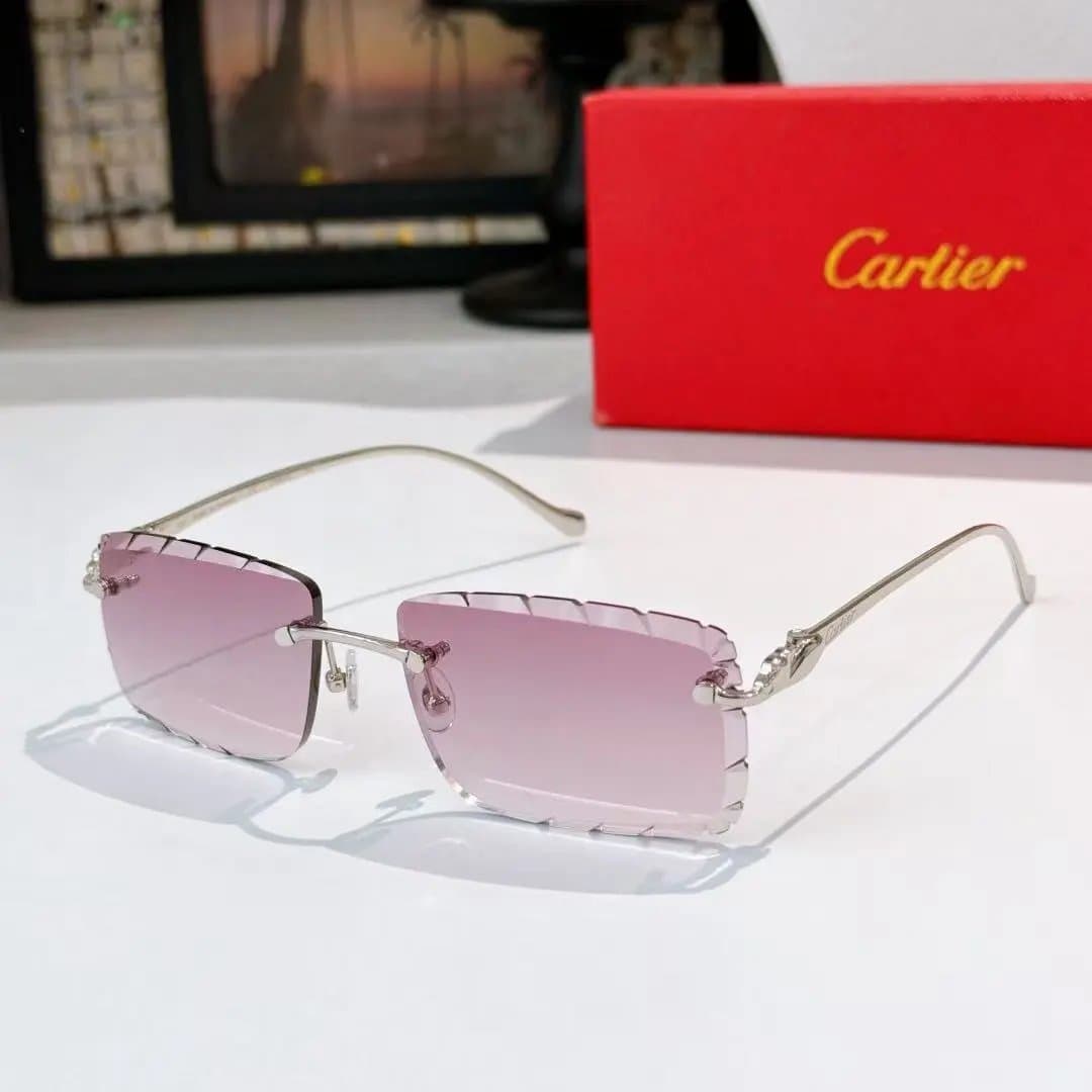 Cartier Sunglasses Panthère Detail — 12